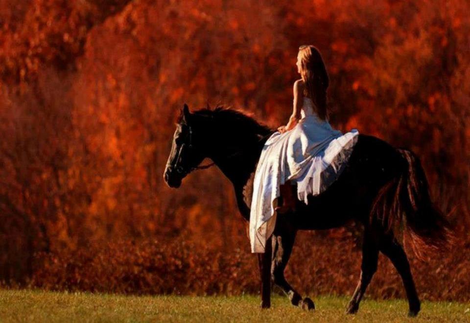 Jugando al ajedrez con mi amigo&nbsp;Jairo