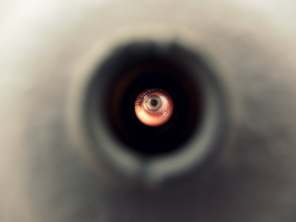 Nuestro interior (la caja&nbsp;negra)