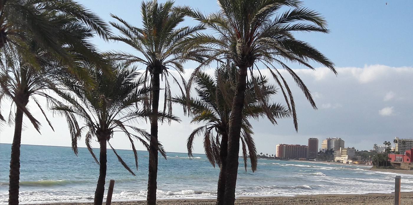 Mar de enero