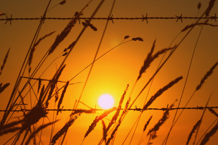 Relato de una&nbsp;condena