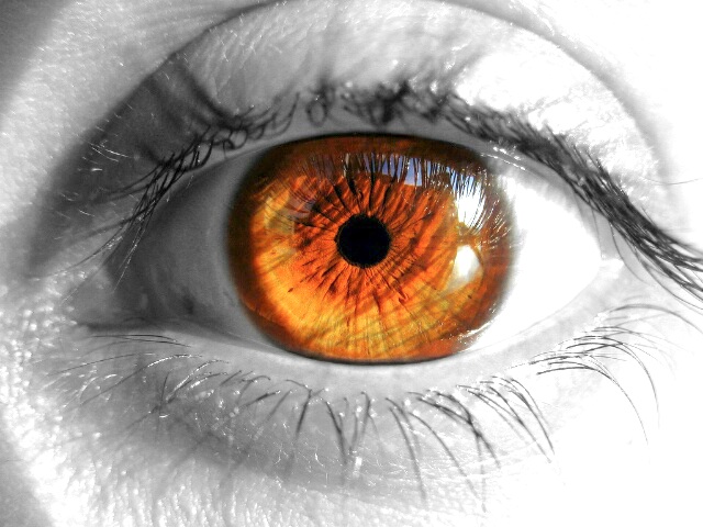 Sátira a las necesidades del&nbsp;poeta