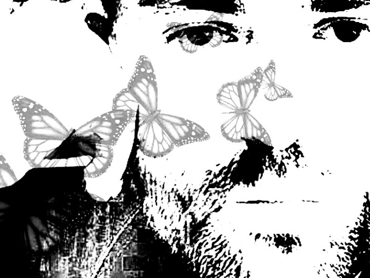 mariposas
