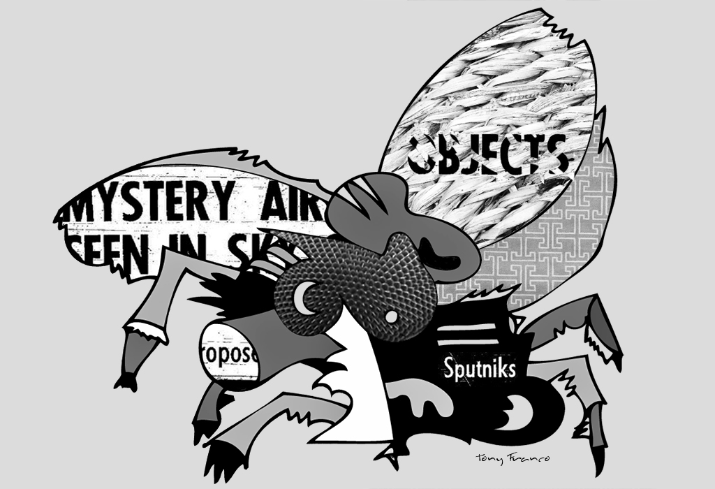 Pongamos Que Soy Una&nbsp;Mosca