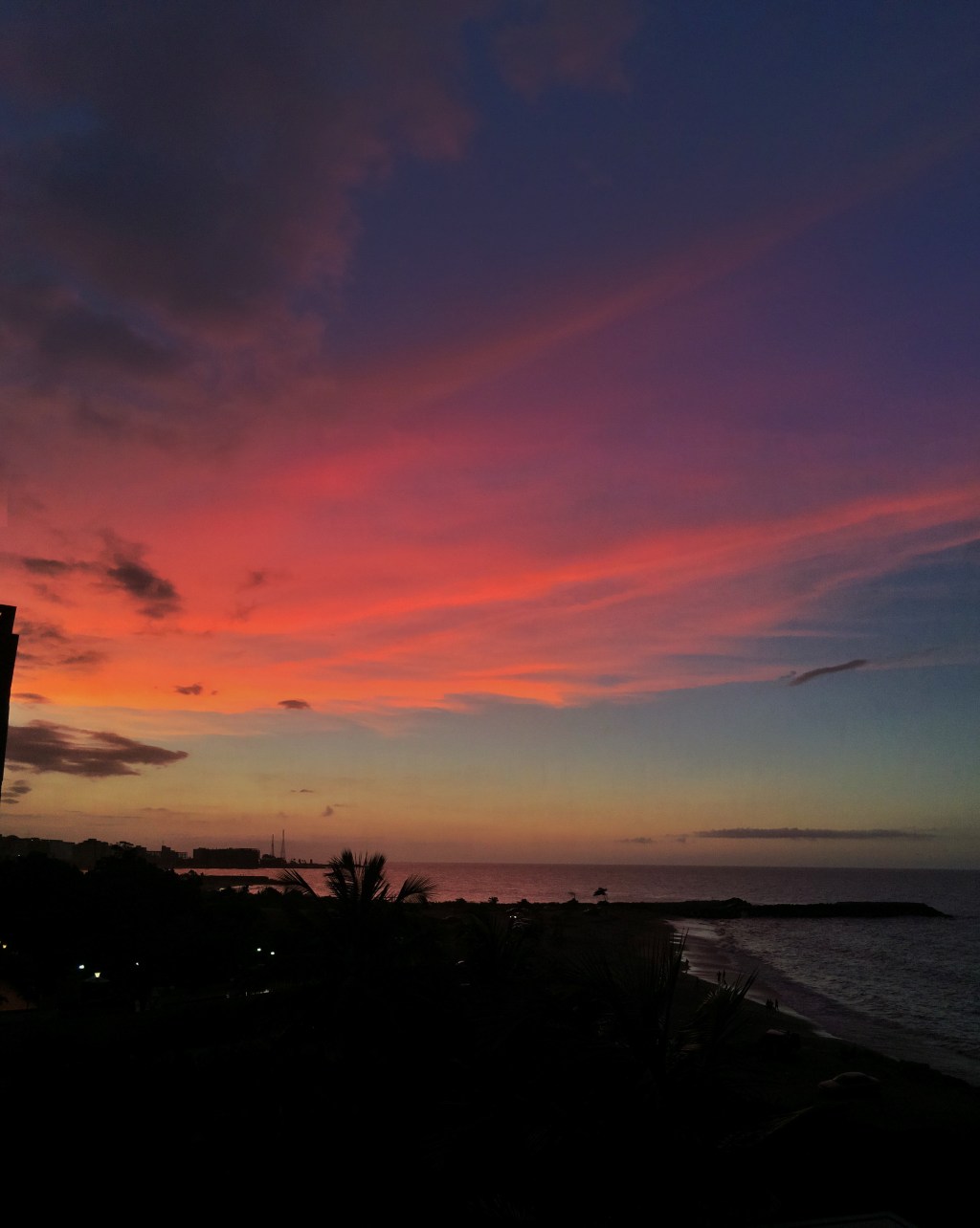 Noche entre estrellas