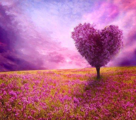 Despierta, corazón…