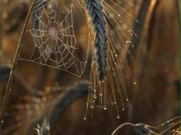 La elocuencia del&nbsp;silencio