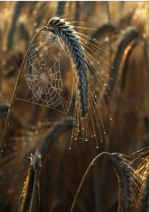 La elocuencia del&nbsp;silencio