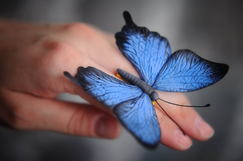 Te regalo las&nbsp;mariposas