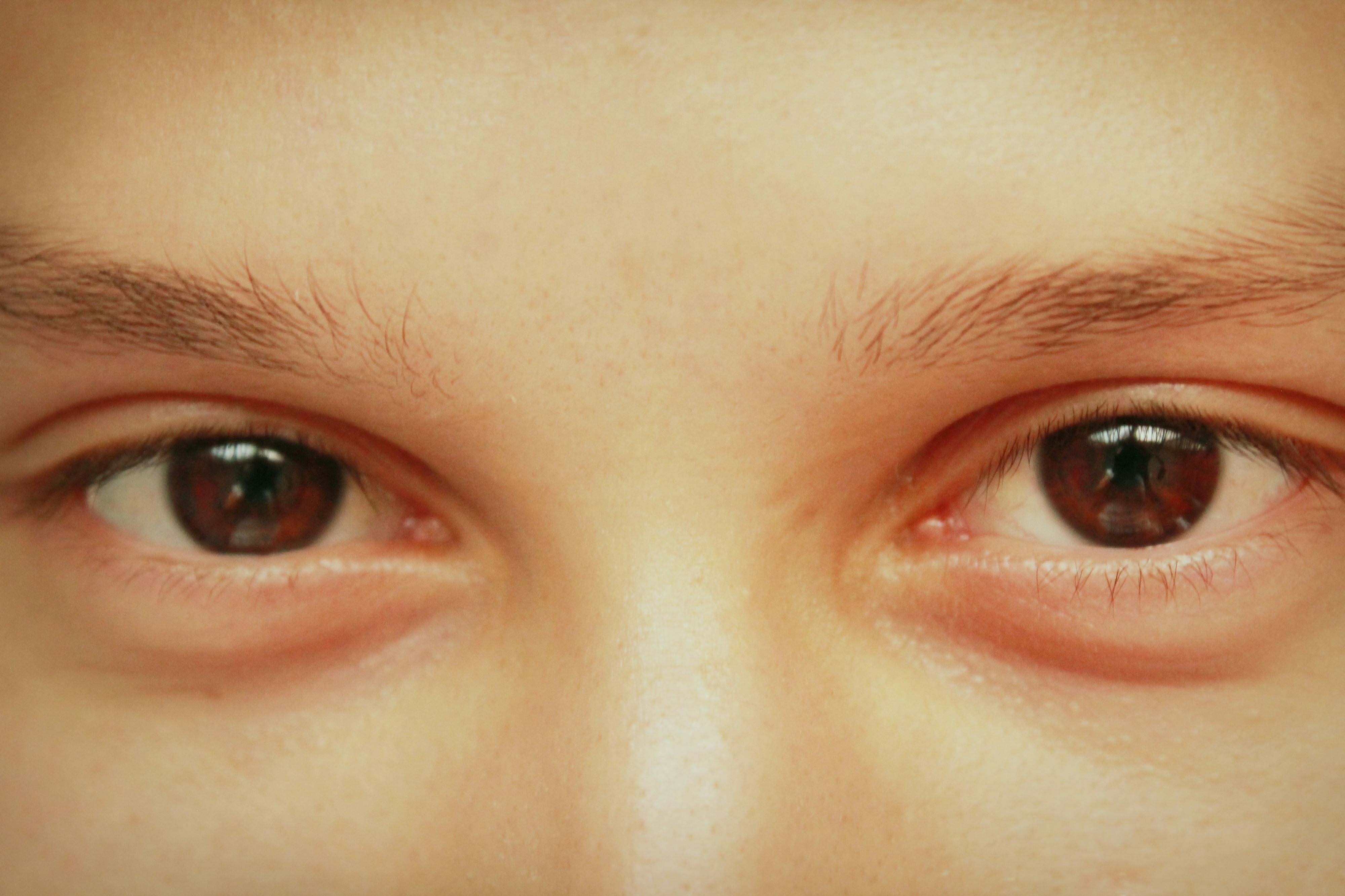 Oda a tu mirada