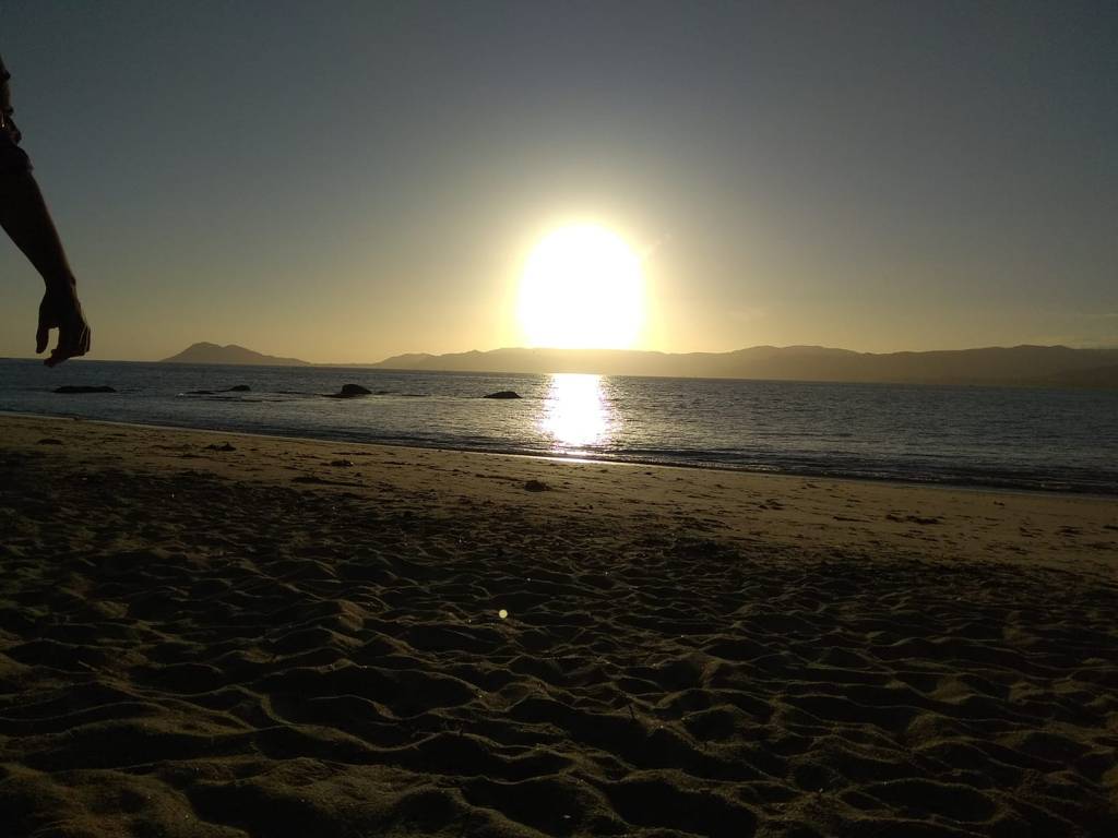 La vida en&nbsp;verbos