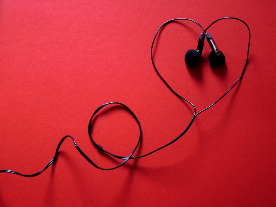 Fuimos canciones
