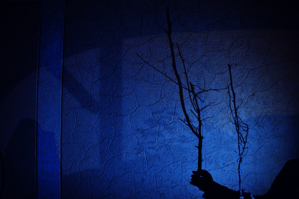 Inquietud de media&nbsp;noche