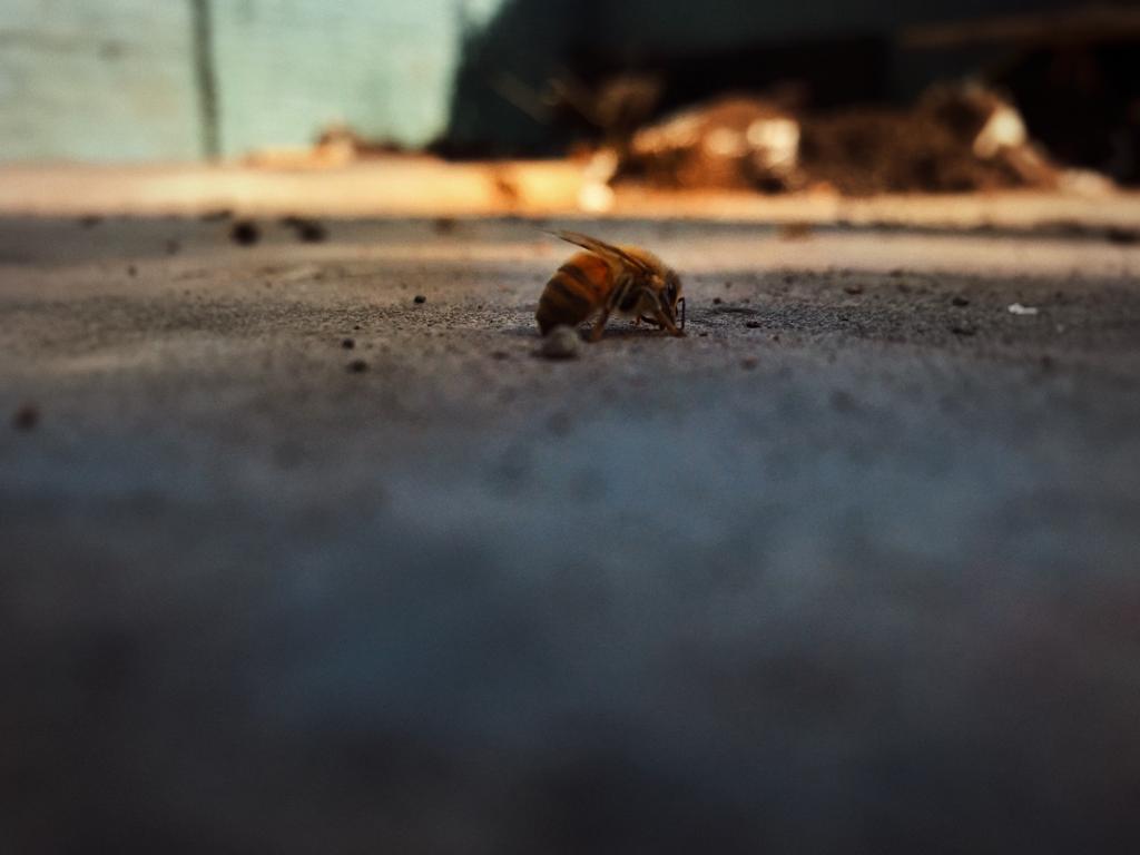 A pesar de&nbsp;todo