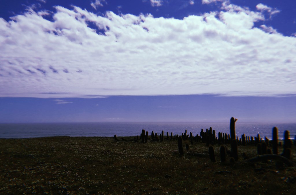 Un instante de&nbsp;universo