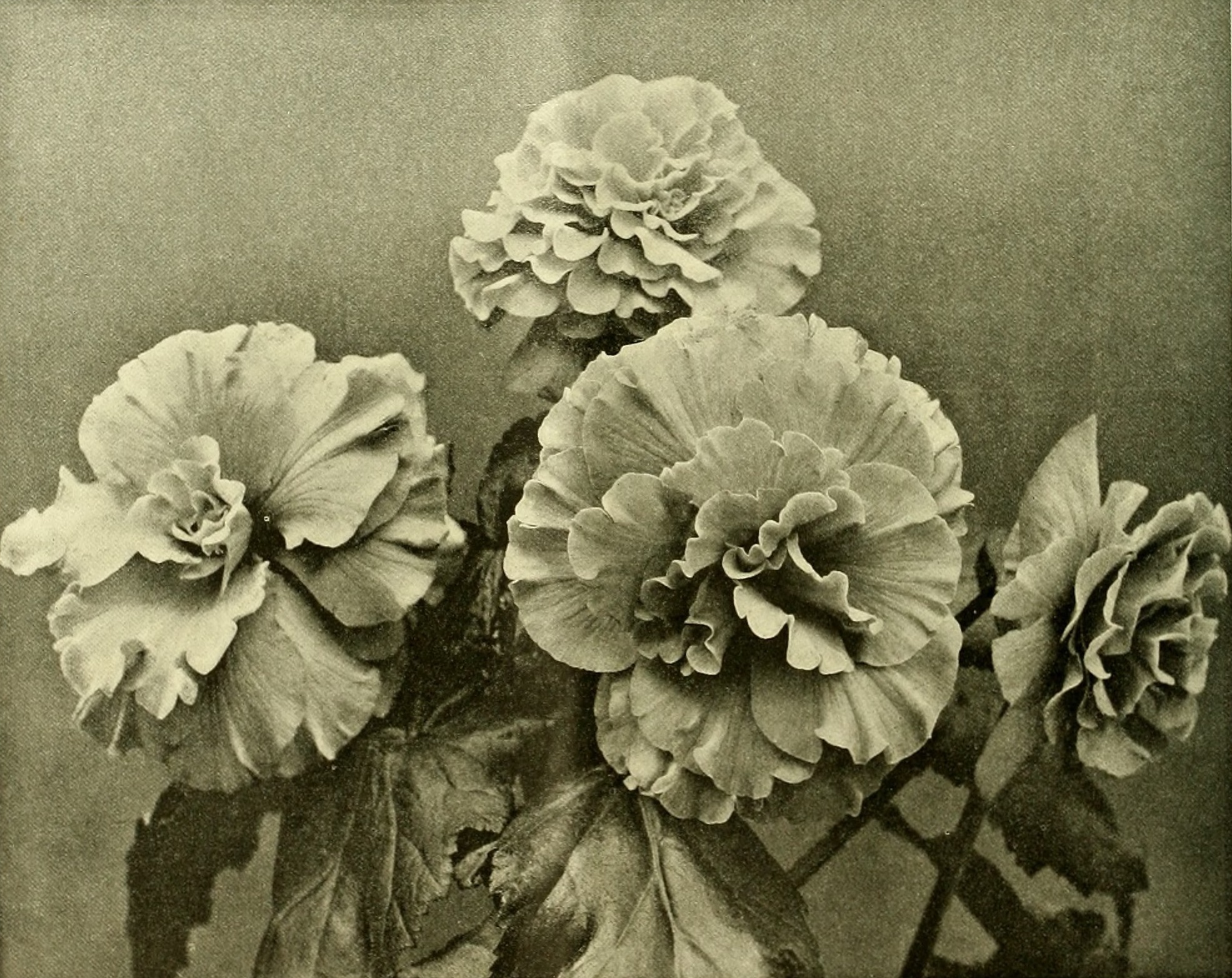 Trueque – Letras & Poesía