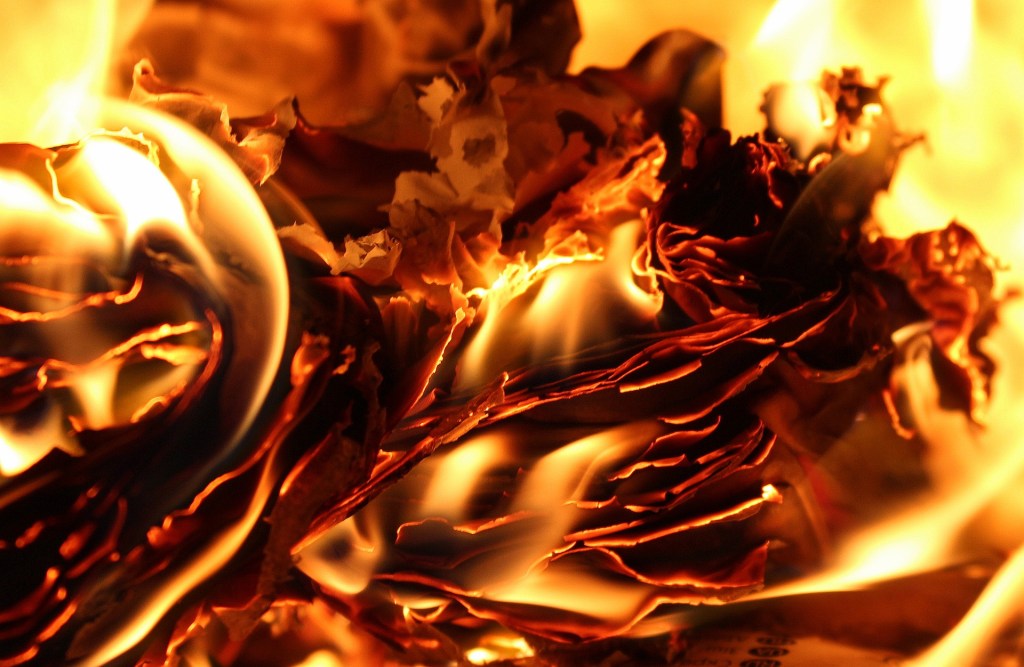 Sueño de Rojo&nbsp;tul