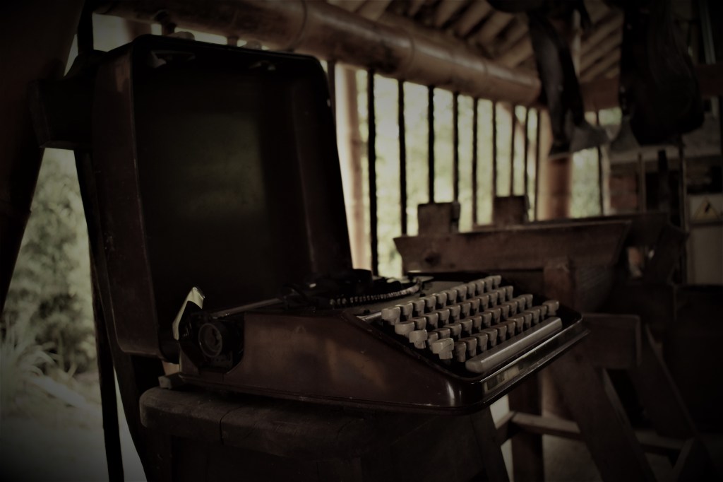 Pasos de rama&nbsp;seca