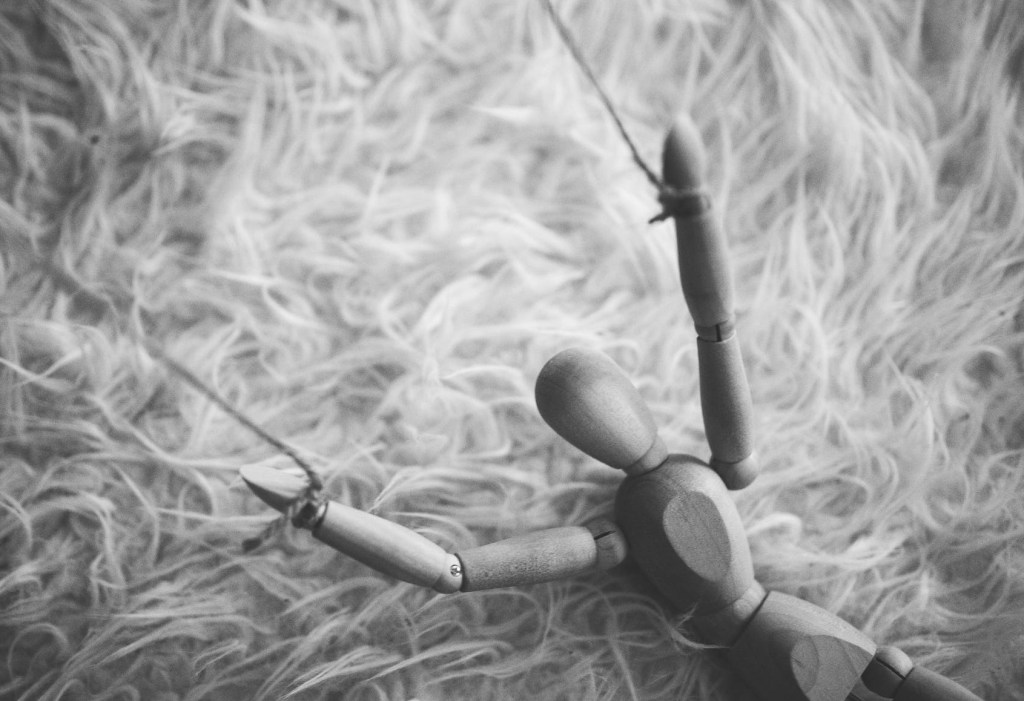 La falacia de la&nbsp;diversidad