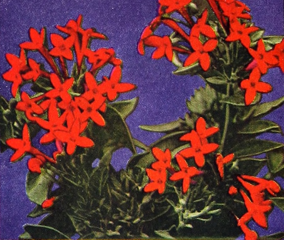 El olor a&nbsp;encierro