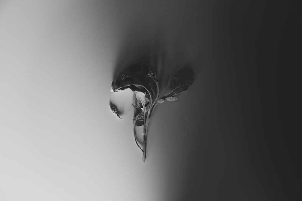 Podemos esperar un poco más (carta a la&nbsp;muerte)