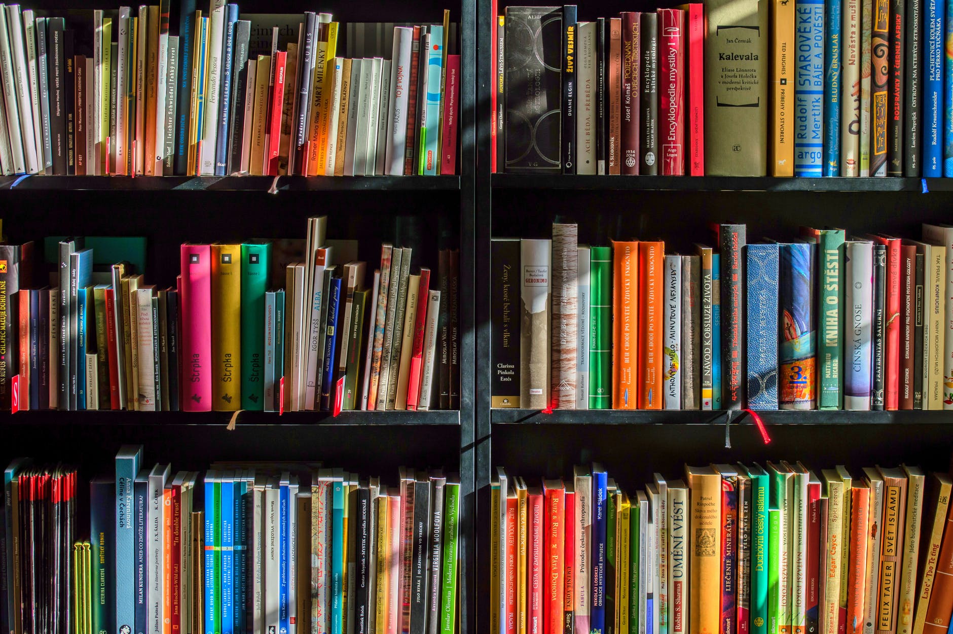 Don Luis, el bibliotecario