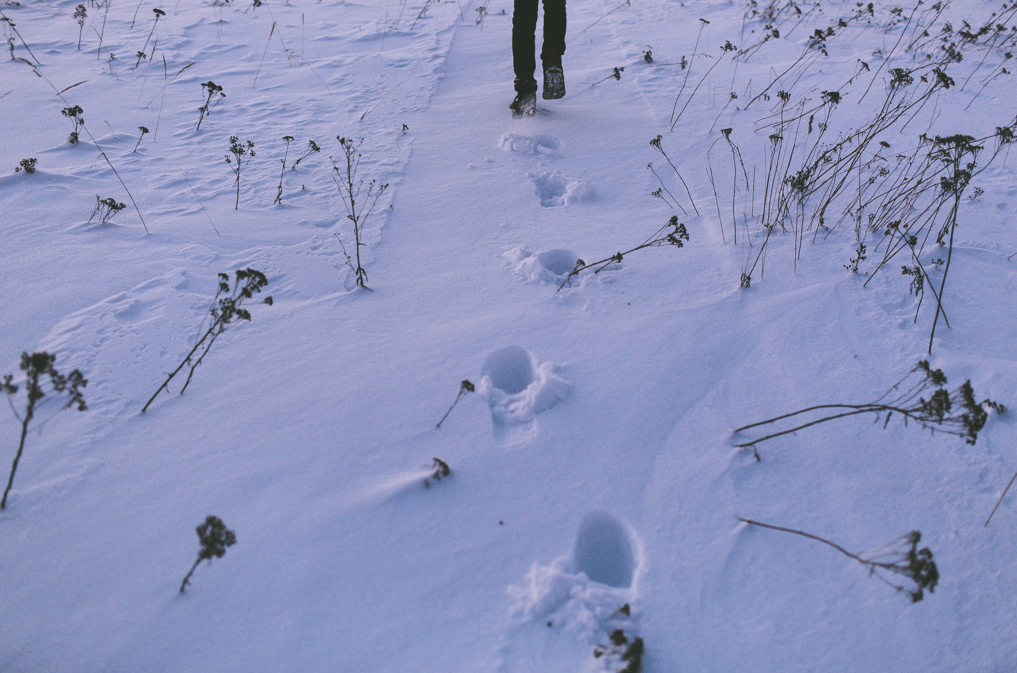 Todo lo que no&nbsp;dije