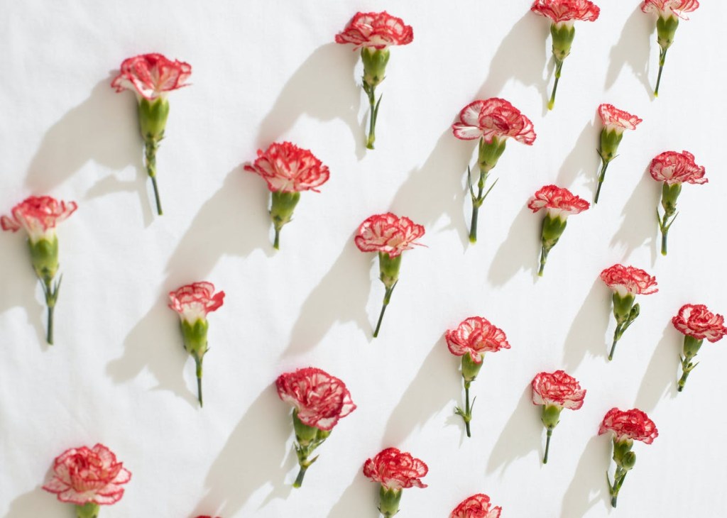 Los claveles y la&nbsp;revolución