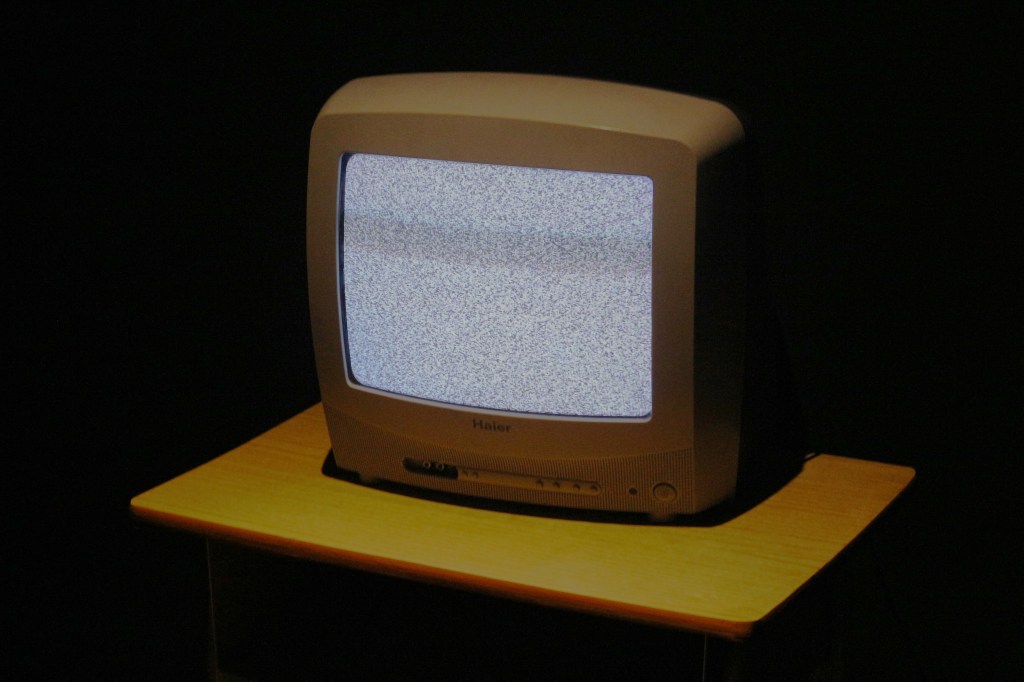 Noche conyugal entre arbustos&nbsp;pasajeros