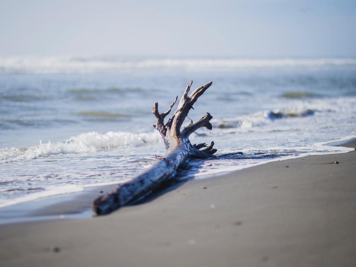 A la suerte del&nbsp;mundo