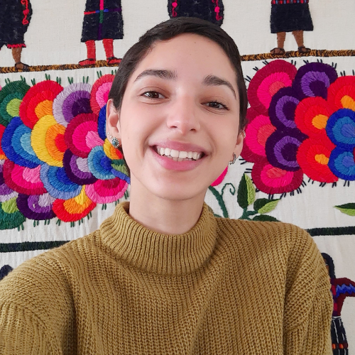 paulina gamboa tamayo autora escritora