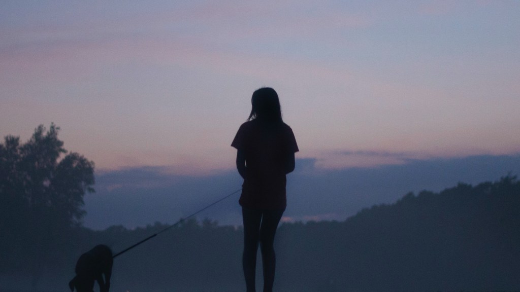 El bucle del&nbsp;recuerdo