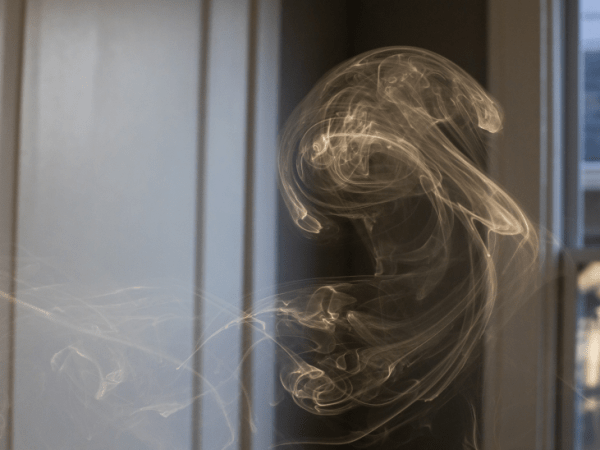 La cadencia de la&nbsp;vida