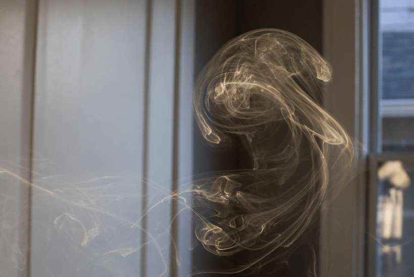 La cadencia de la&nbsp;vida