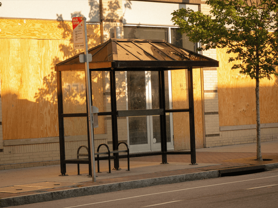 articulo sobre chofer bus camion autobus paulina gamboa