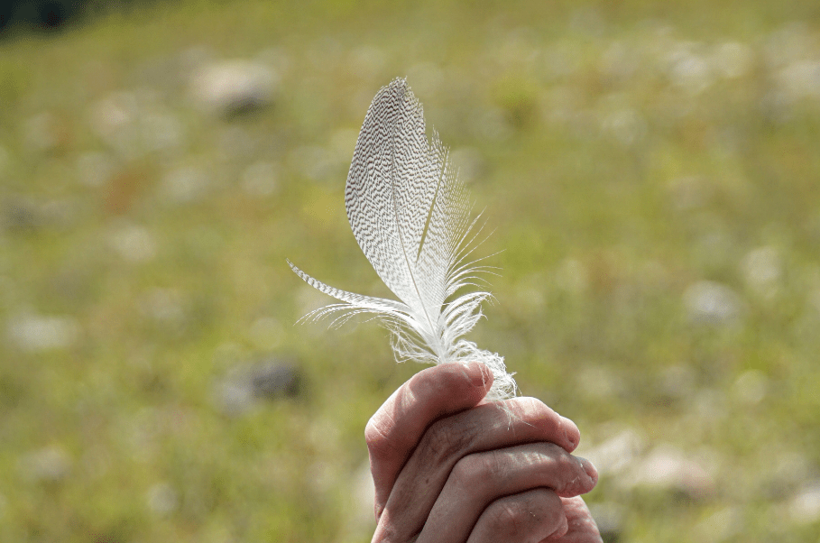 Sobre el peso y las&nbsp;palabras