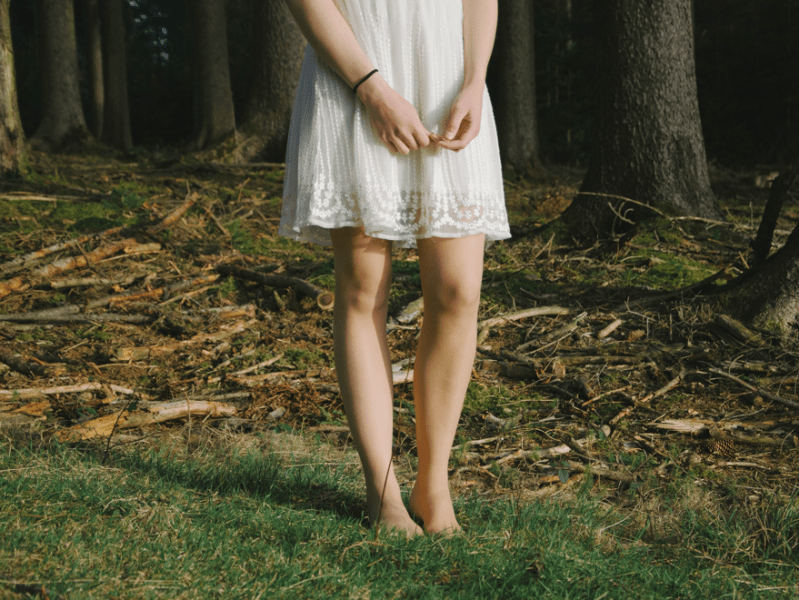 Encuentros fugaces: diálogo&nbsp;animal