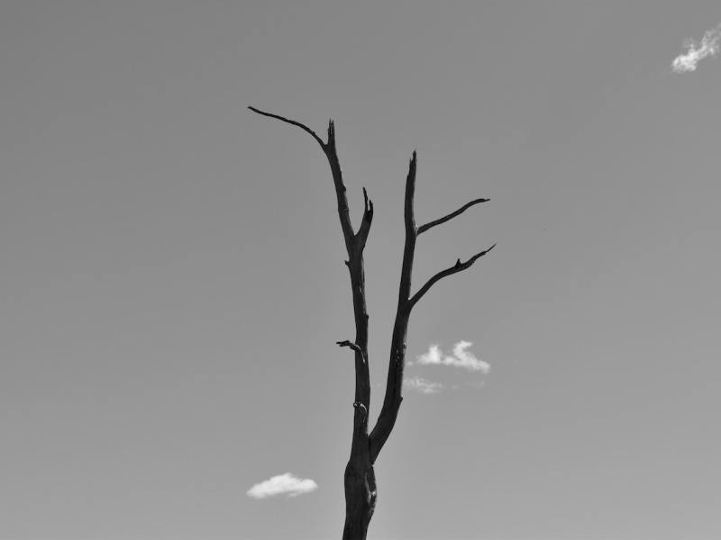 Sísifo y la aritmética del&nbsp;tiempo