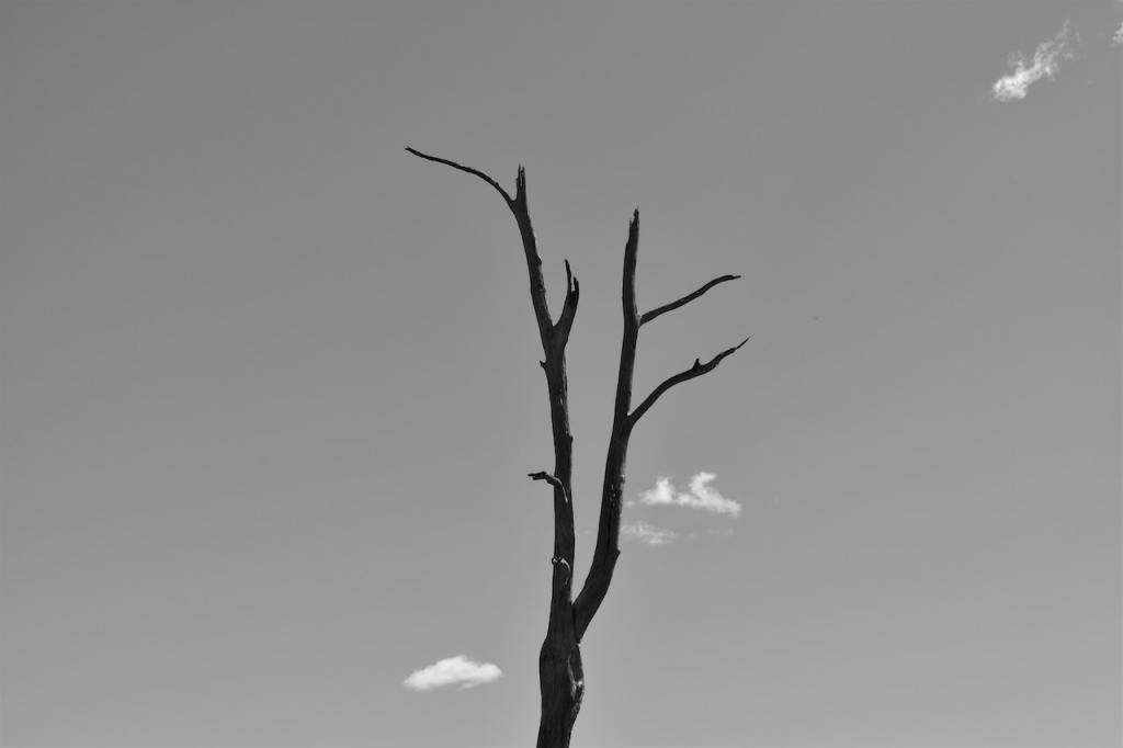 Sísifo y la aritmética del&nbsp;tiempo