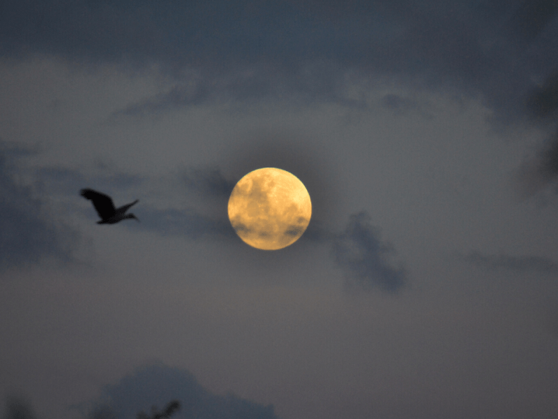 Es mejor de&nbsp;noche