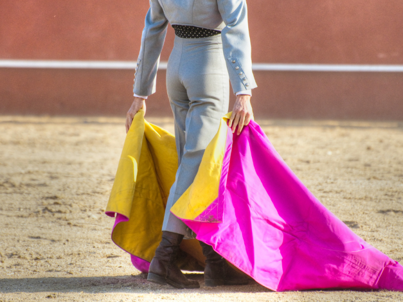 De cara al&nbsp;toro