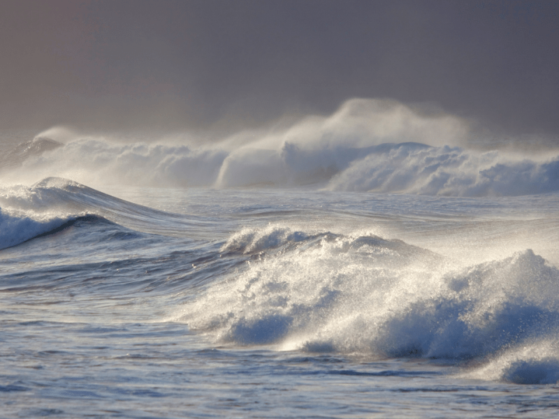 constructo sentimental