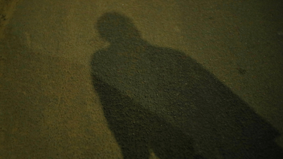 La palabra del&nbsp;silencio