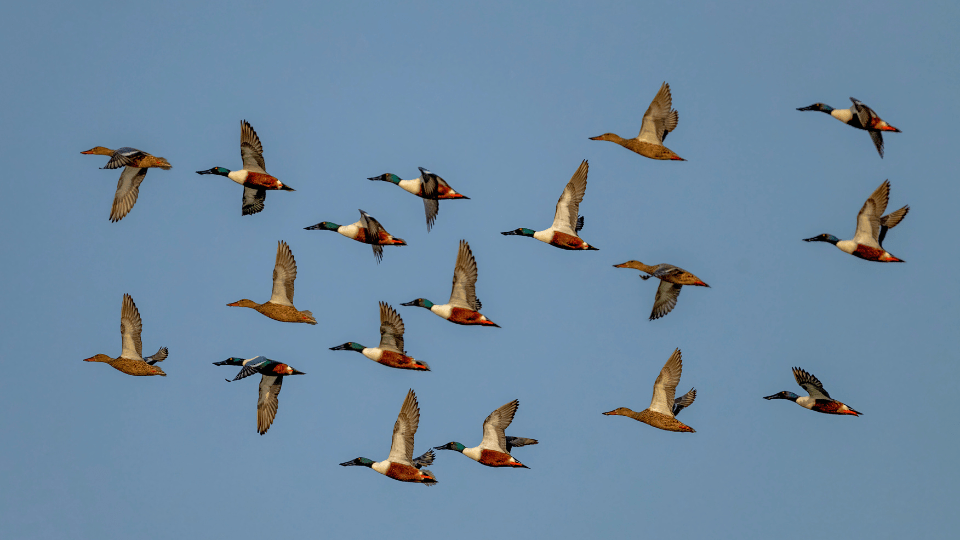 Si hay el&nbsp;cielo