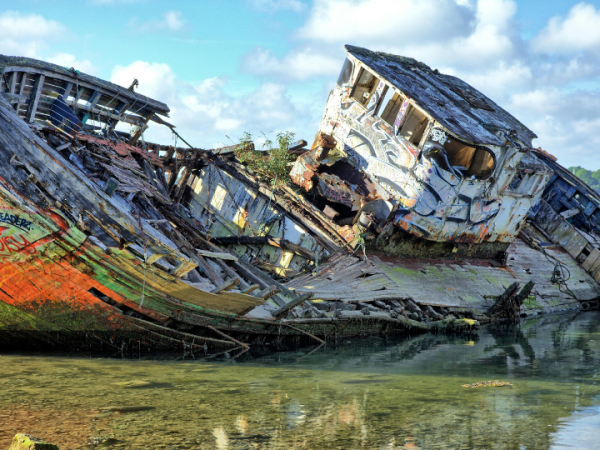 La vida en una&nbsp;bombilla