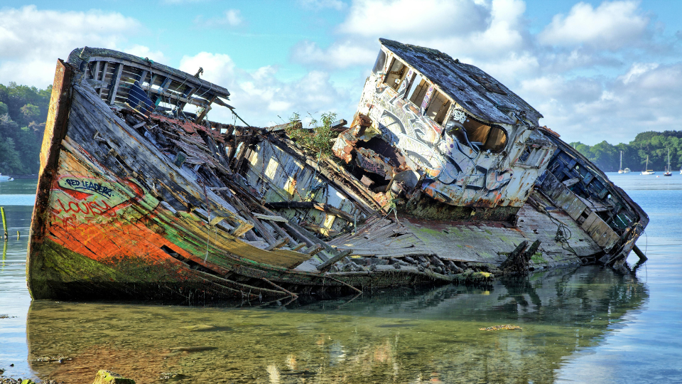 La vida en una&nbsp;bombilla