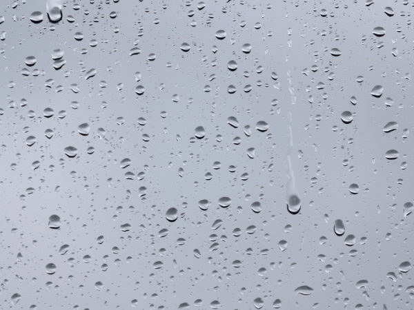 Lo más cercano a la&nbsp;vida