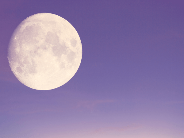 La belleza es una pequeña&nbsp;muerte