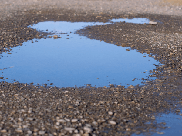 El charco de&nbsp;agua