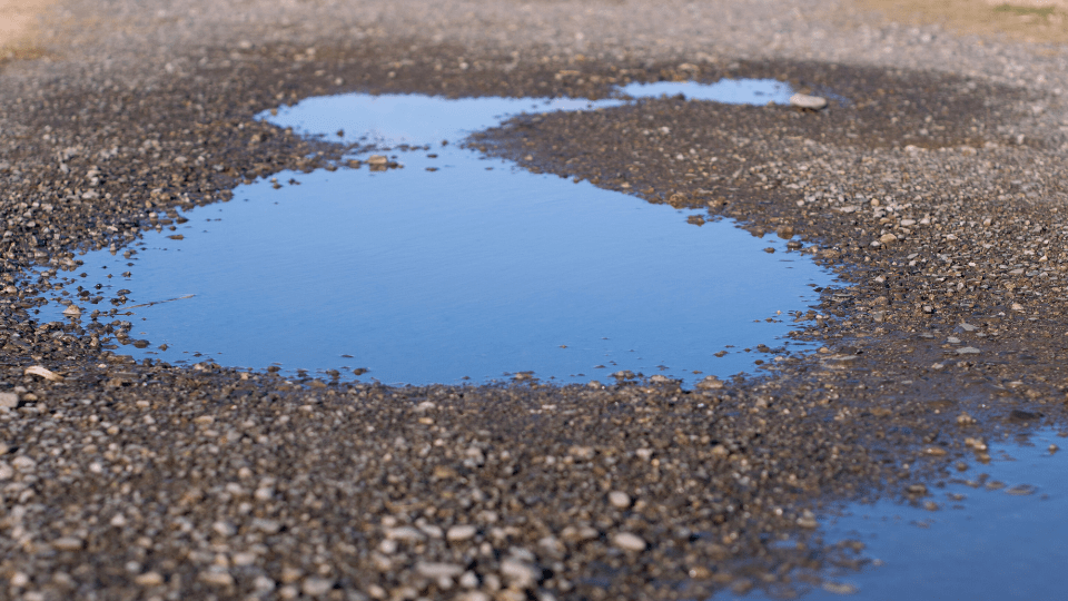 poema sobre charco de agua suicidio dios