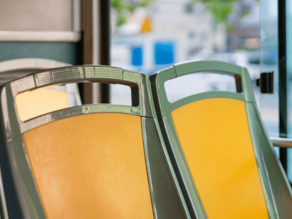 En los aleteos que nos han&nbsp;sobrado